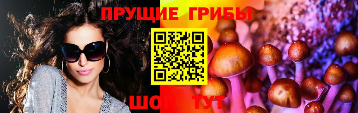 Галлюциногенные грибы Cubensis  Псилоцибиновые грибы прущие грибы  сколько стоит  Назрань  Вход с VPN 