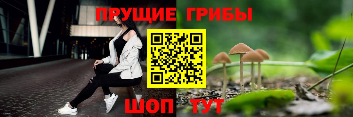 Галлюциногенные грибы мицелий Назрань